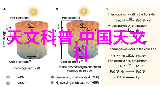 探索Poco摄影的艺术与科技数字时代中微距视觉叙事的新纪元