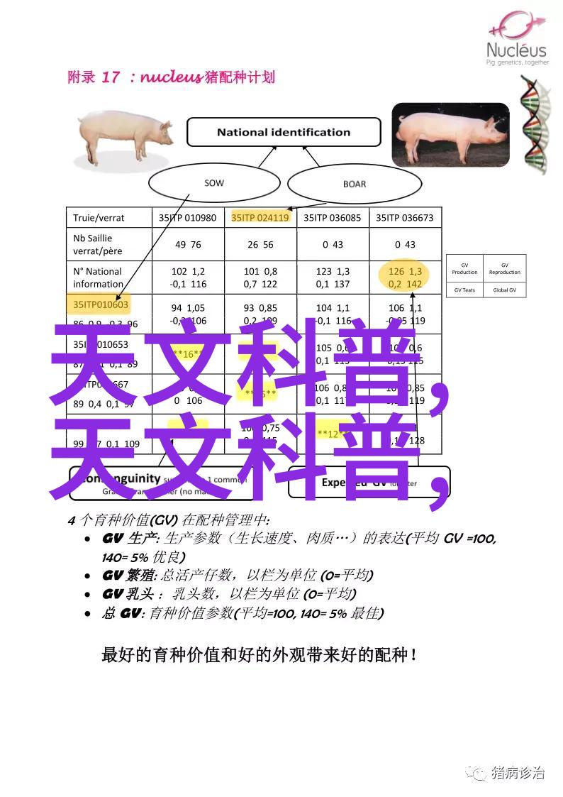 安知我意深度理解心灵之旅心灵交流的艺术