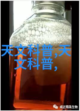 摄影爱好者必备的设备DSLR相机镜头平板触控屏自拍杆