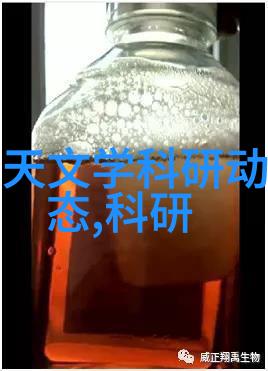 防水布我的小伙伴在雨天的守护者