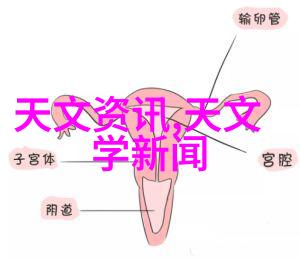 我进去了探秘迷宫中的未知世界