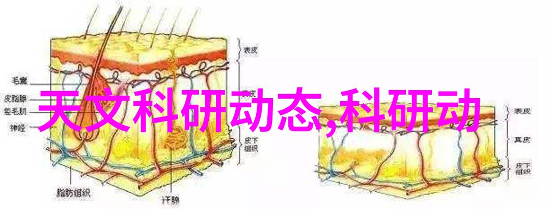 菲克老虎的逆袭从小镇球星到职业联赛的巅峰