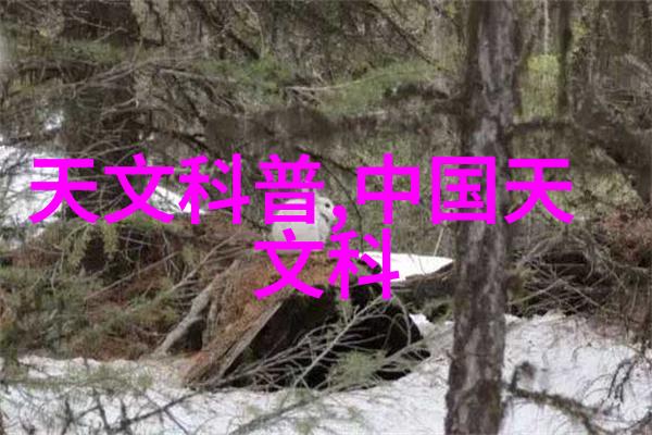 逆止器阻断时间的回流守护记忆的稳定