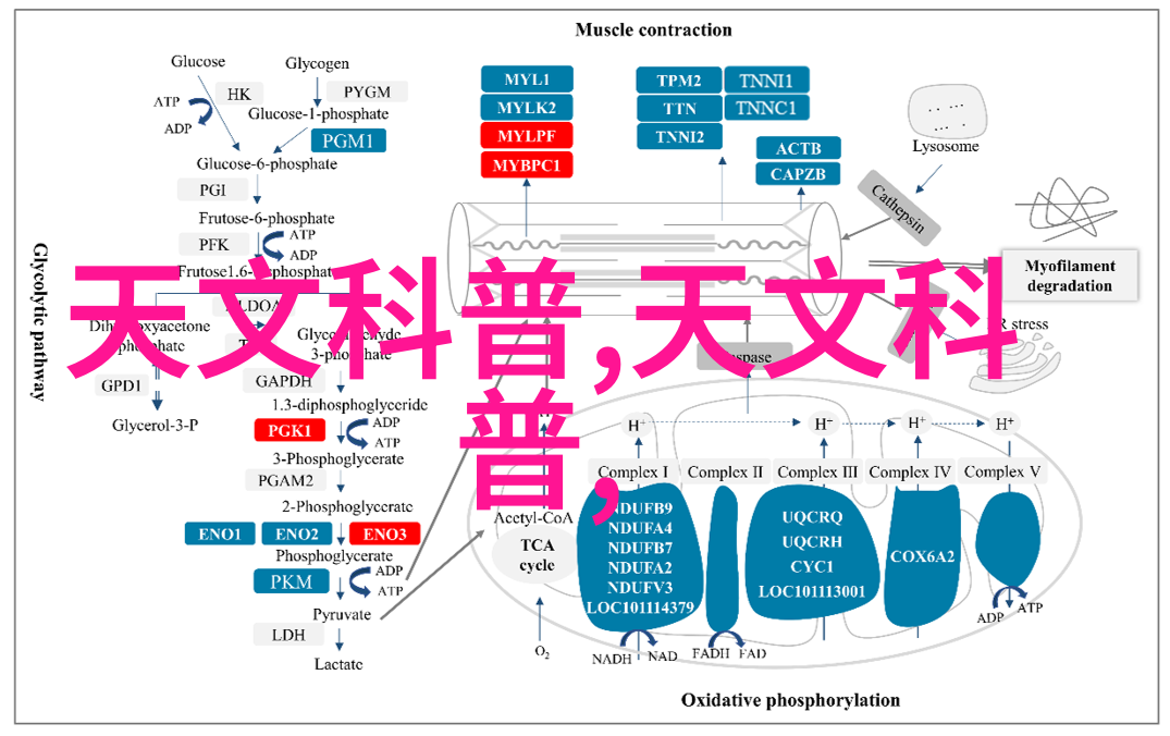 量子计算芯片研发进展量子错误校正技术突破点评