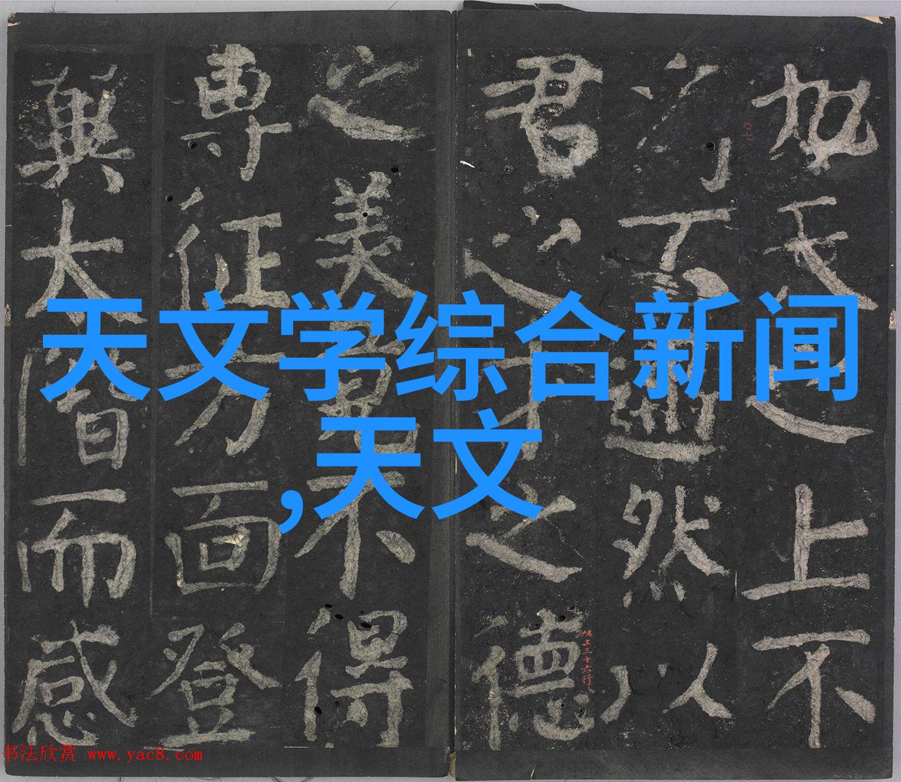 能否详细说明这些术语背后的逻辑以及它们在实践中的应用情况