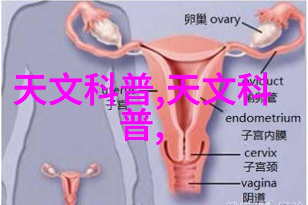 探索无忌的边界超越束缚的生活艺术