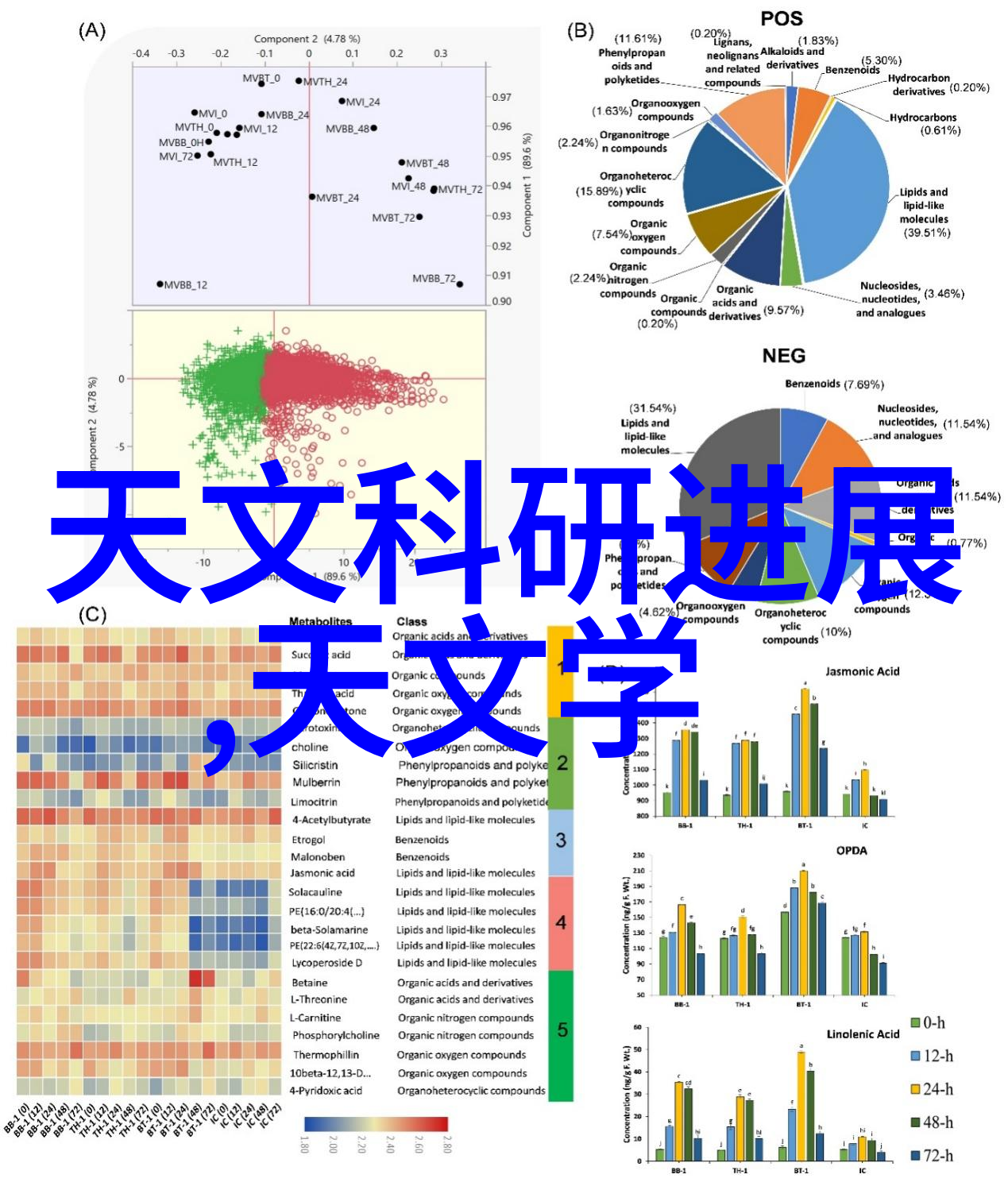 翩跹舞影蜂鸟的摄影艺术