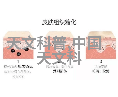 厨房小知识-微波炉与烤箱的选择速度与温度的对决