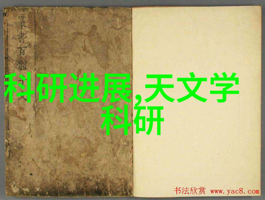 客厅餐厅二合一装修效果图研究空间整合与视觉协调的艺术探究