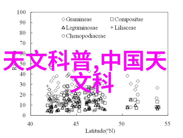 琴音绽放在星辰之下