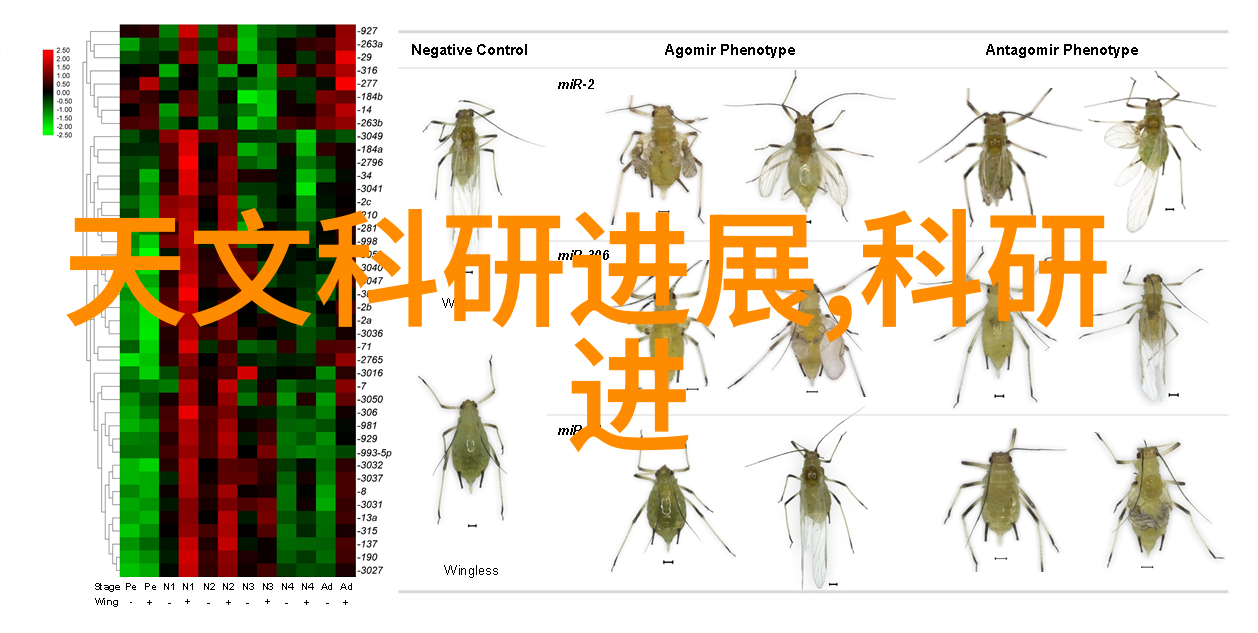 骁龙865新一代移动性能的强劲引擎