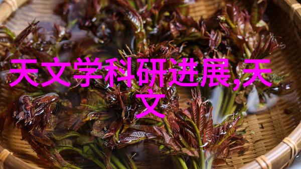 质感涂料 - 触觉艺术探索质感涂料在室内装饰中的应用与魅力