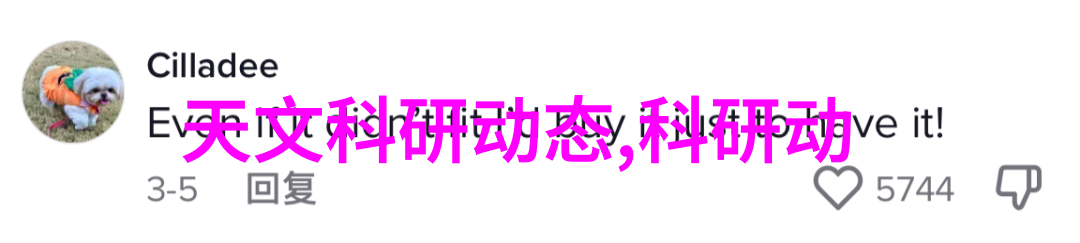 绿色环保成为趋势2021年新房装修中的可持续材料使用