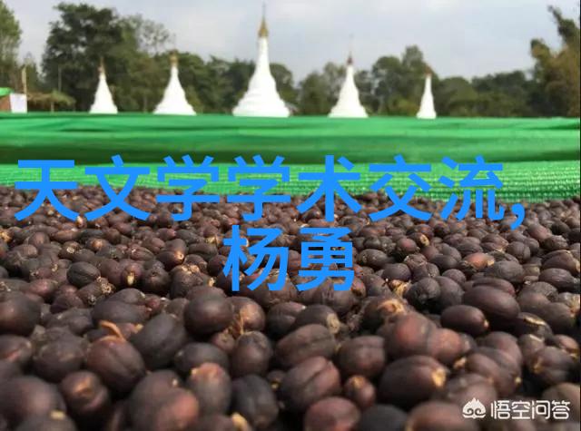 金属与石材幕墙工程技术规范-精细装饰坚固持久金属与石材幕墙的艺术融合