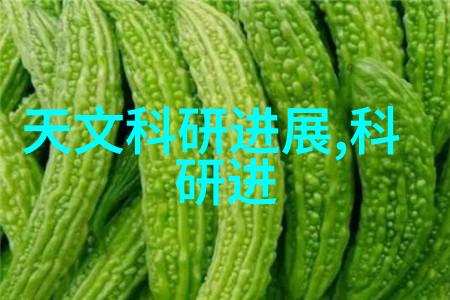 镜头背后的秘密揭开专业摄影设备背后那一笔难以预料的代价