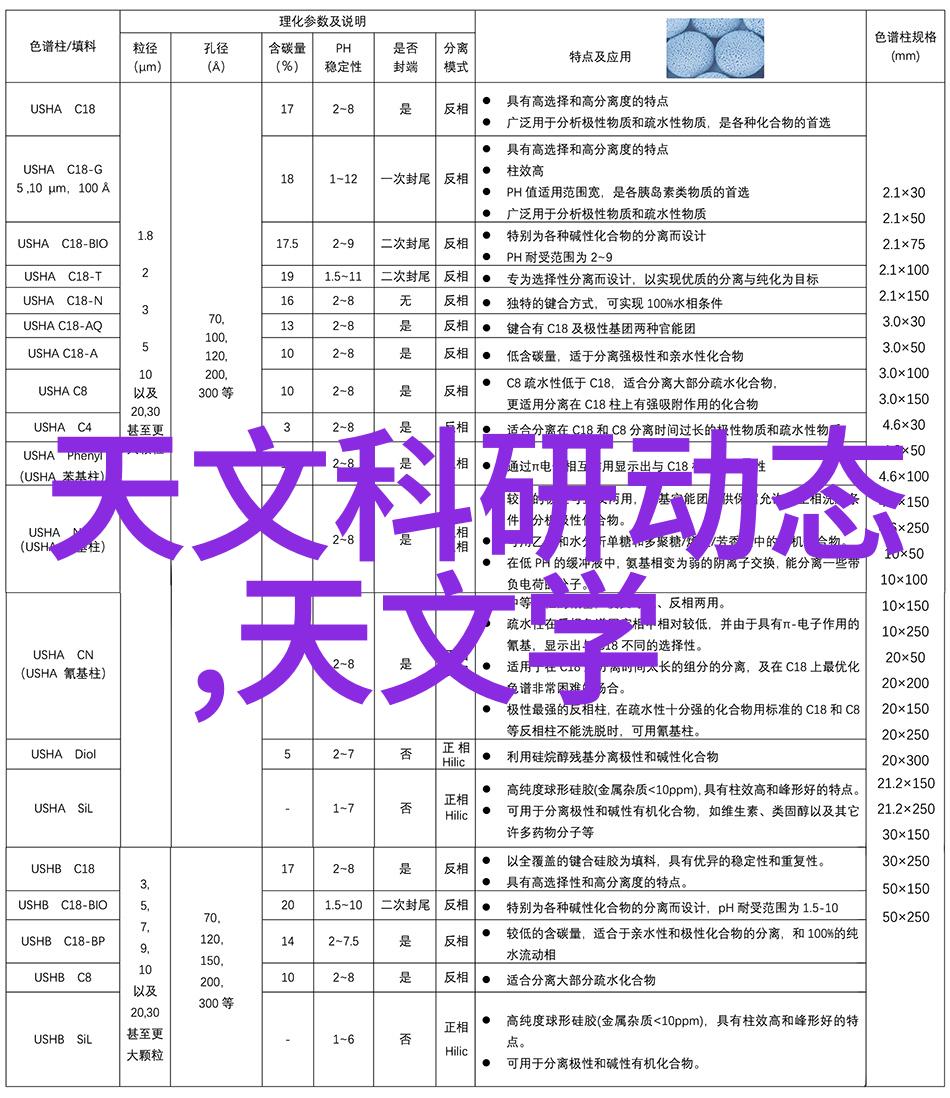 母亲节送什么花-温馨母亲节选择最合适的花朵