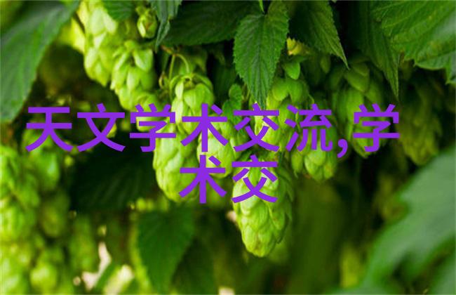 摄影技巧-常见摄影设备从入门级到专业级别的选择