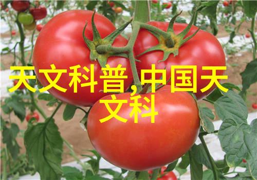 绿色环保家居深入了解节能减排的装修案例分享