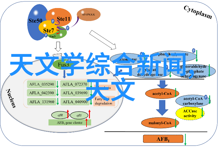 工控PLC系统在现代工业自动化中的应用研究与展望