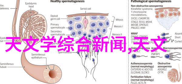 排放限额与环保目标探索排污许可证政策深度优化路径