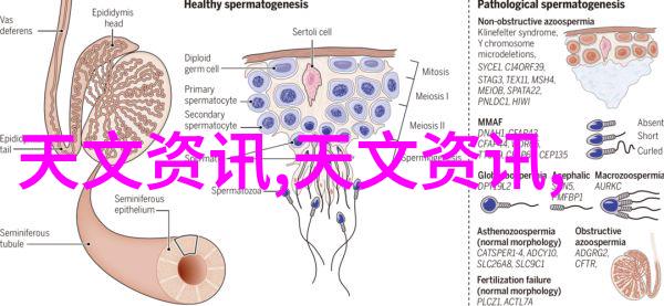 婚纱照中的文化符号解读与现代审美趋势分析