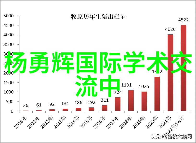 员工能力测评工具高效提升团队表现的系统性解决方案