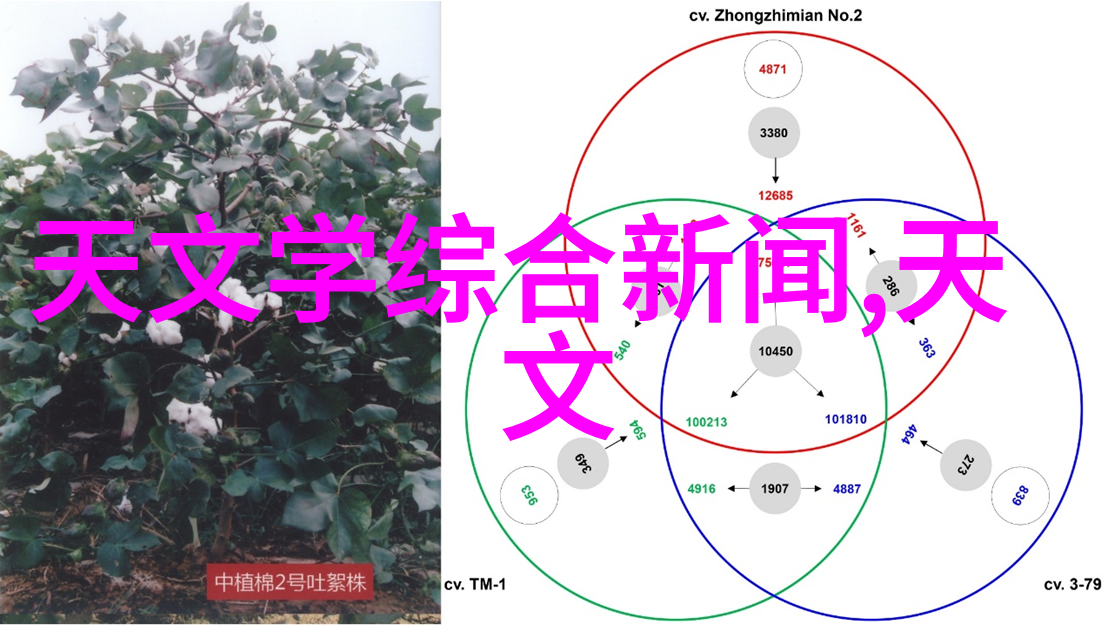 国家工程建设标准化信息网能否确保项目管理的高效