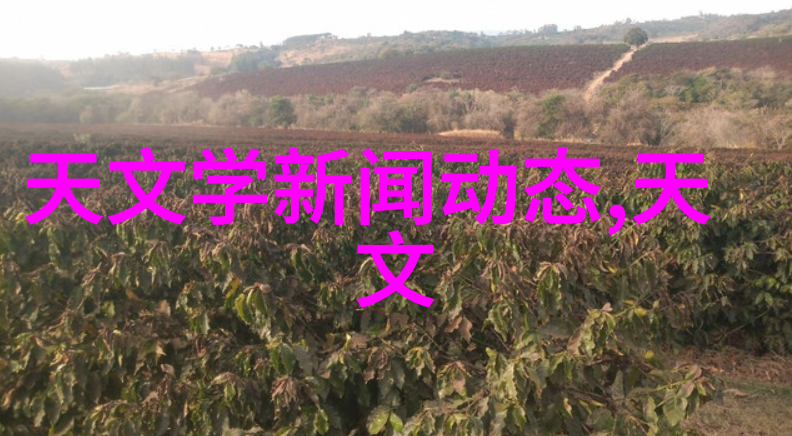 欧美ZC0O人与善交的新篇章