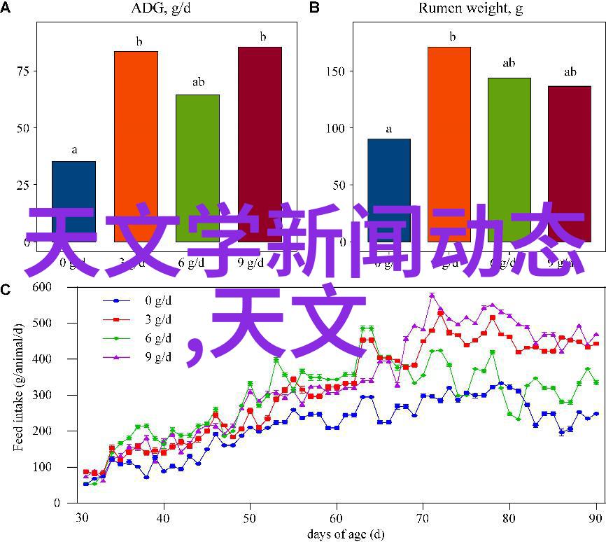 红颜交替高义美芳与白洁美红的故事