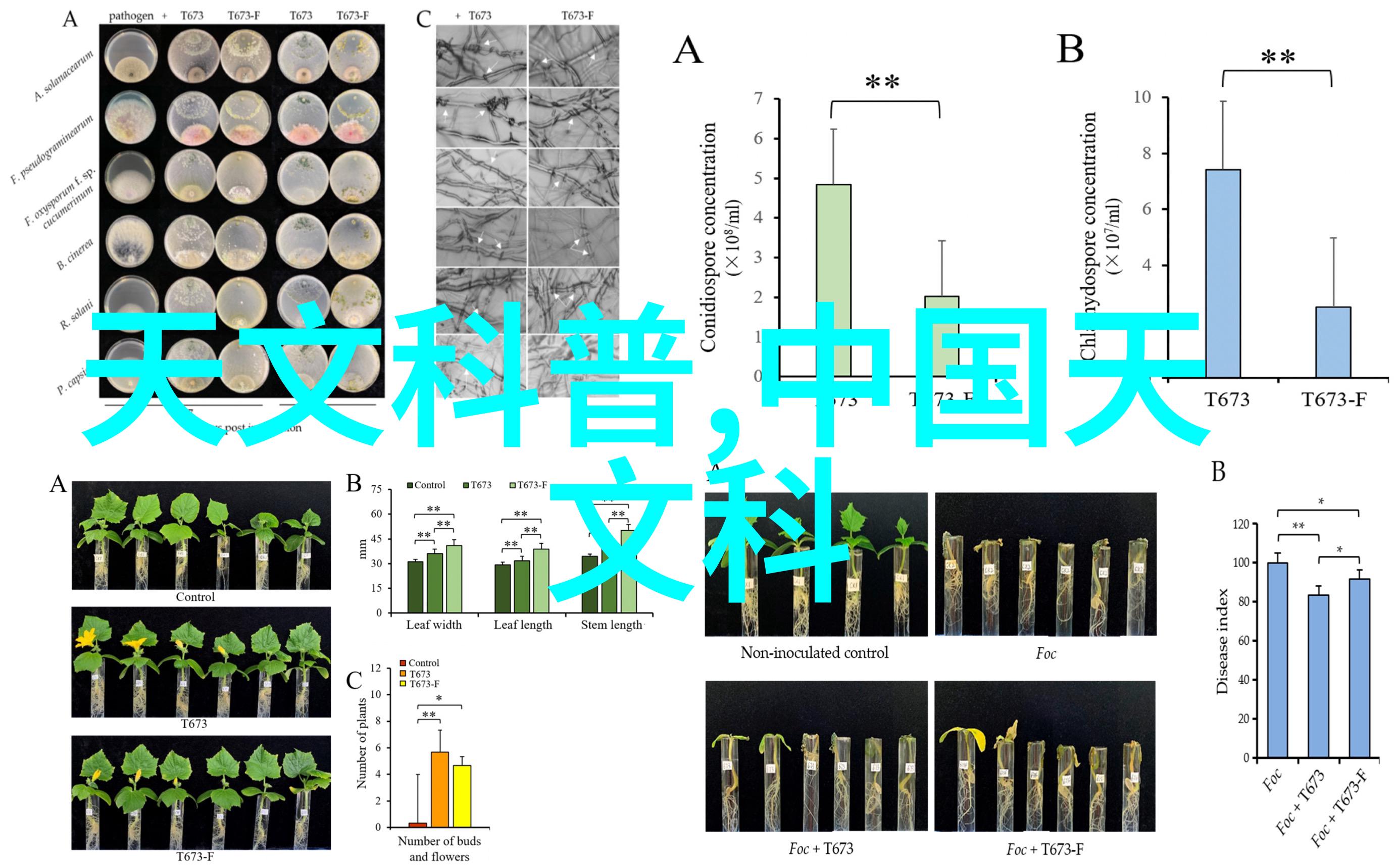 人才评估大师揭秘那些让你笑中有理的评估方法