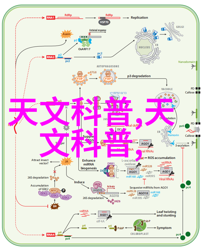 传统的日用百货和现代的电子产品店有何区别在于