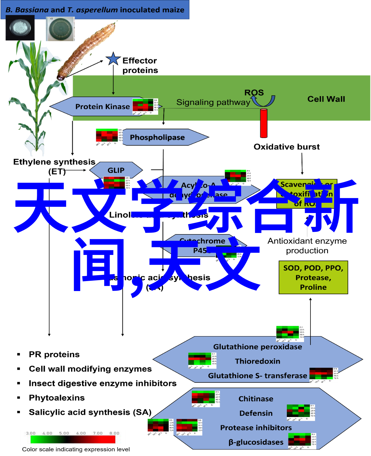 深入解析制药工程专业的核心任务与职业前景