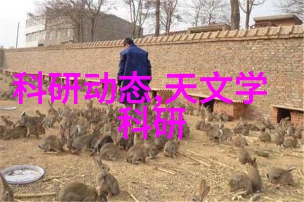 智能化企业新纪元如何抓住变革机遇