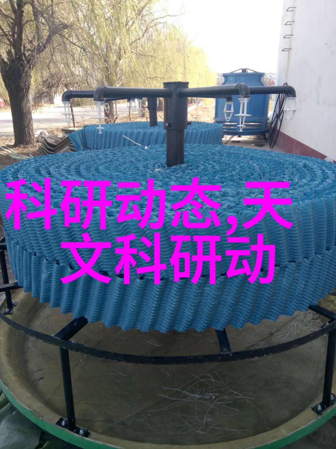 叶教授的小黏糖甜蜜的秘密与学术的迷雾