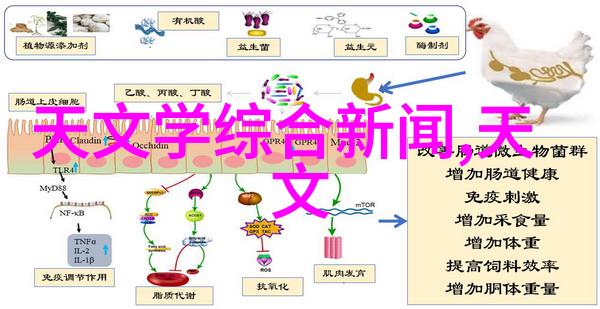 科技奇迹威力无边揭秘新一代超级计算机的强大力量