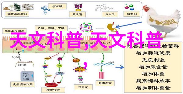 室内舒适空气净化除湿机等常见室内通风设备介绍