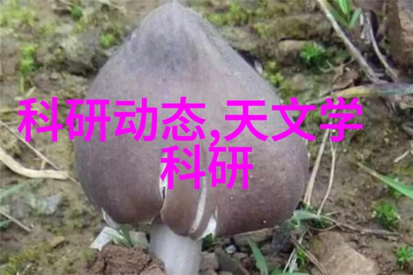 它们背后的科技家电有什么新特性