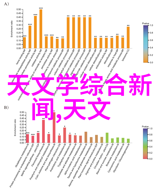 最终检查与验收手续流程说明