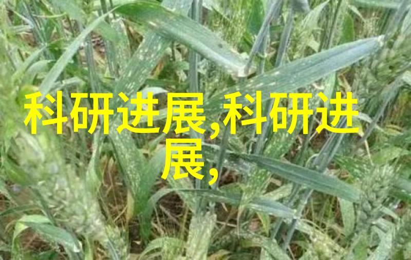 云端出行建程网助您一路畅通