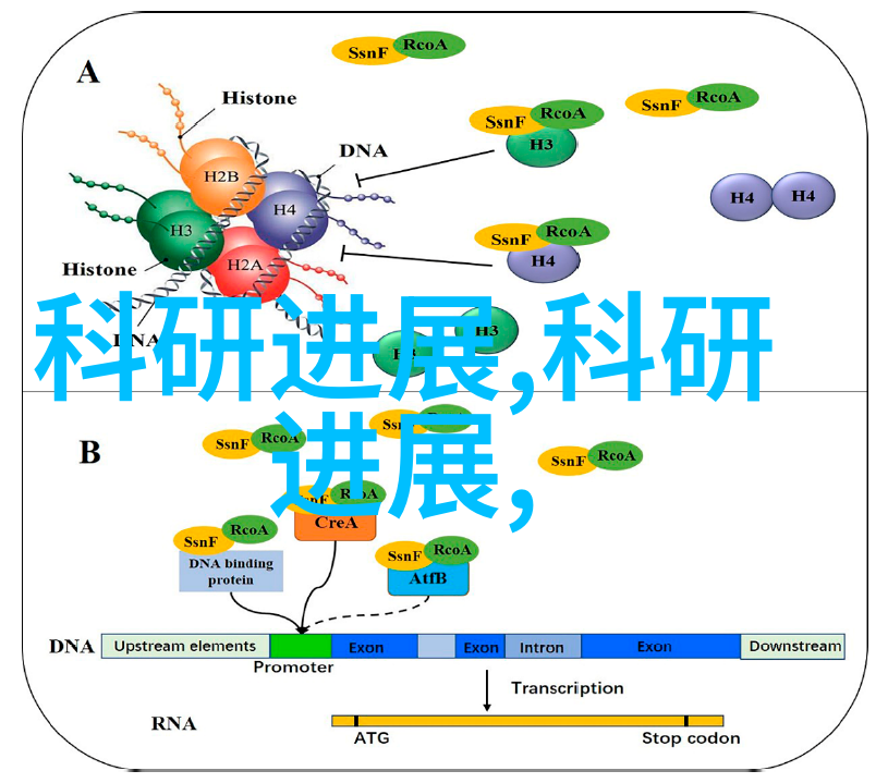 色彩的游走光影之间的无声舞蹈