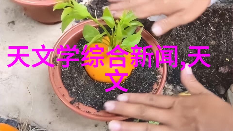 百合花语传说中的爱情与纯洁