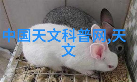 医院生物安全柜守护健康的神秘堡垒