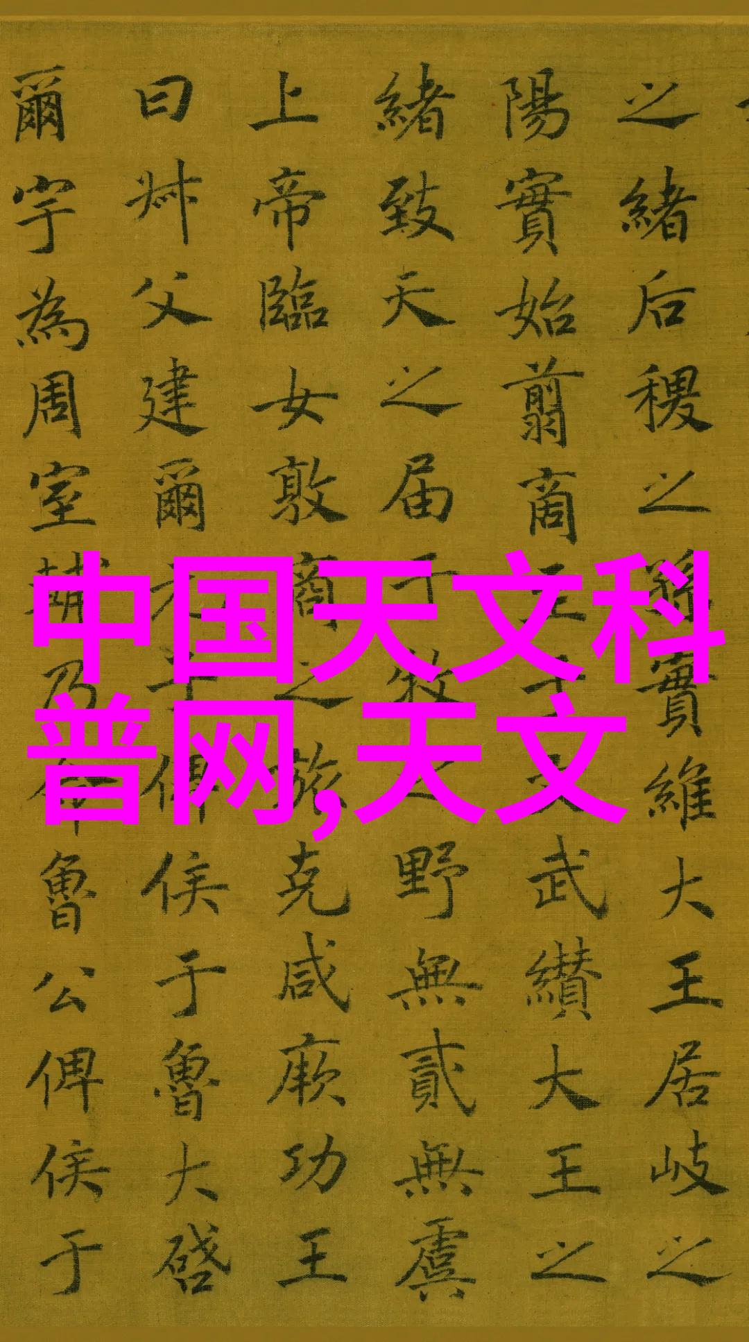 从基础到高级技巧学习人像摄影的一条成长路径