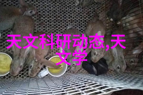 丝网填料与波纹填料的选择指南揭秘它们的优缺点