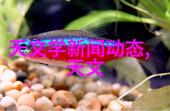 烤箱和微波炉的区别-从食物加热到营养保留的两种选择