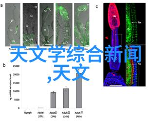 水龙头配件我家水龙头为什么总是漏水