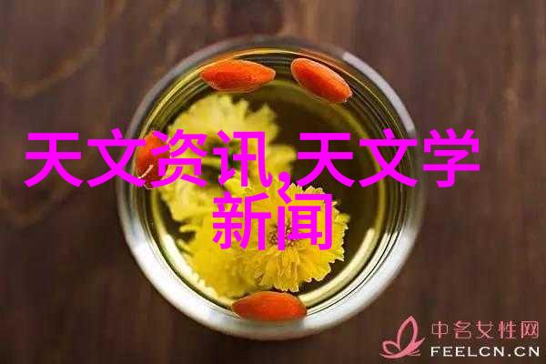 科技艺术-探索AI绘画软件创意的新维度