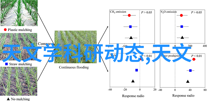 温馨雅致的居所空间大气简约客厅装饰艺术