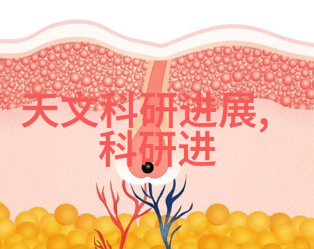 探索厨房用品批发市场品味生活的源泉