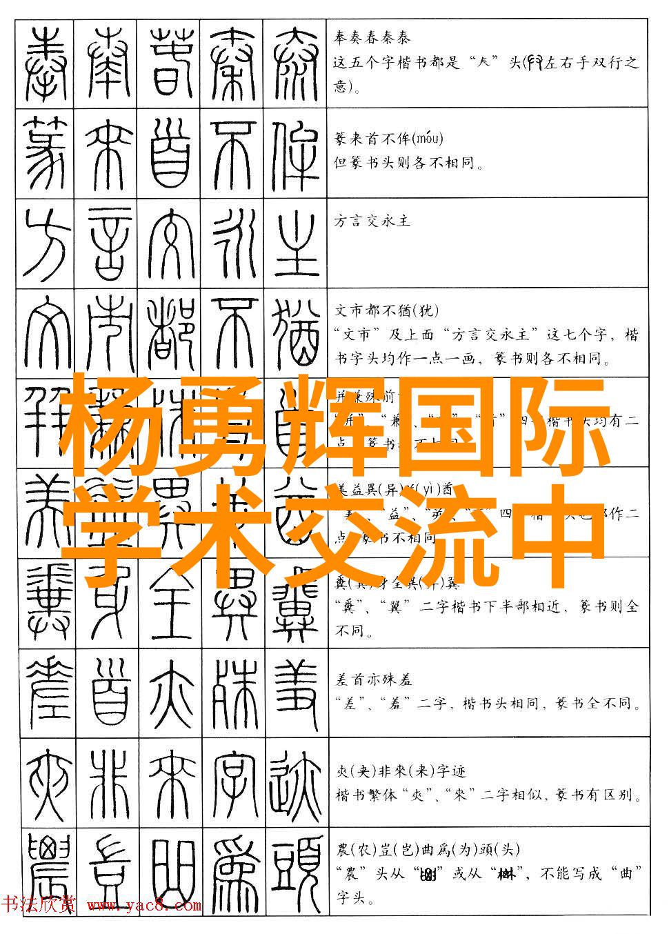 兔狗家装风格探究如何巧妙融合两种设计元素创造完美的家居空间